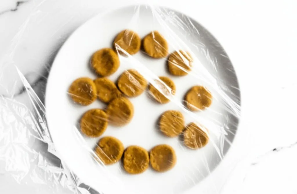 Tuna & Pumpkin Cat Patties Recipe
