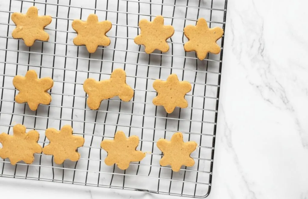 Carrot Apple Dog Treat Recipe