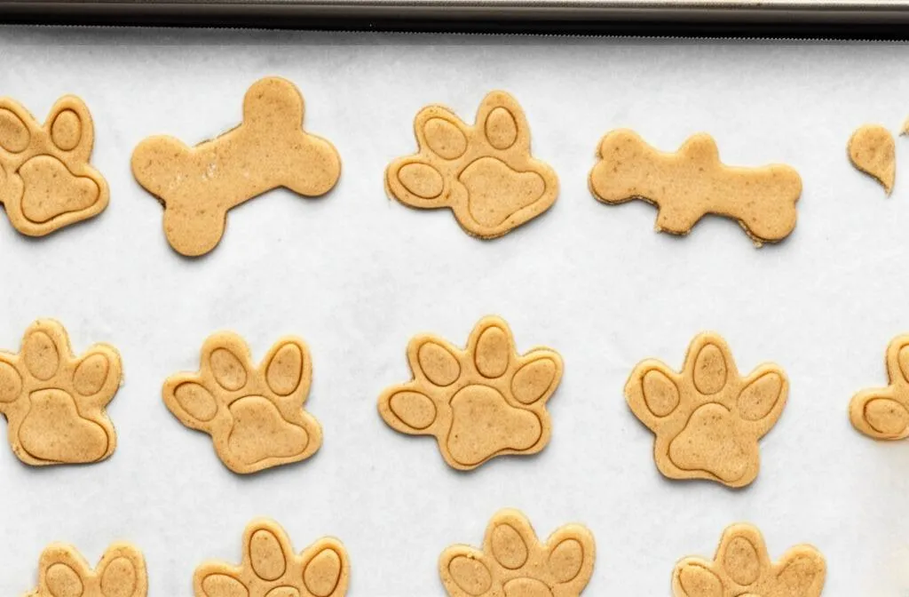 Carrot Apple Dog Treat Recipe