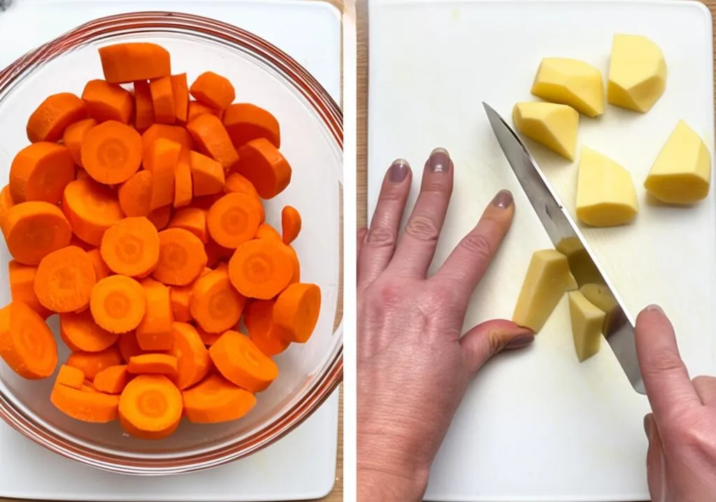 Salmon & Sweet Potato Dog Stew Recipe