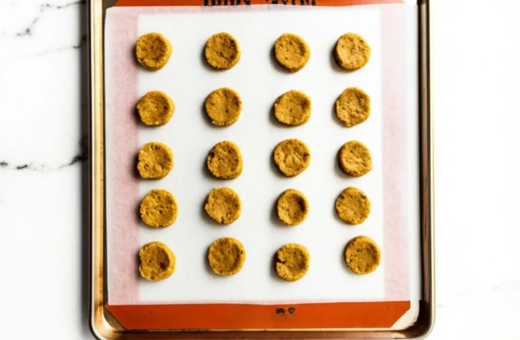 Tuna & Pumpkin Cat Patties Recipe