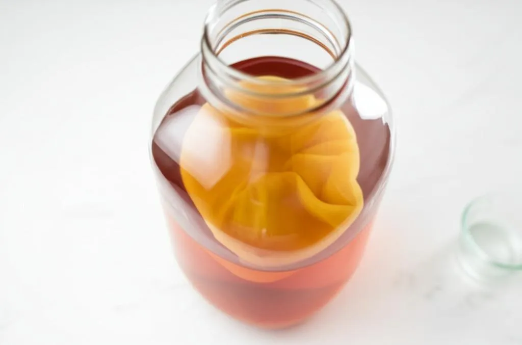 Kombucha Recipe