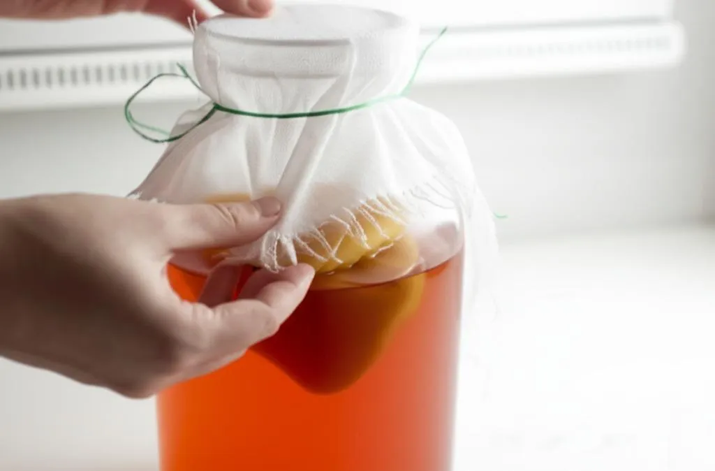 Kombucha Recipe