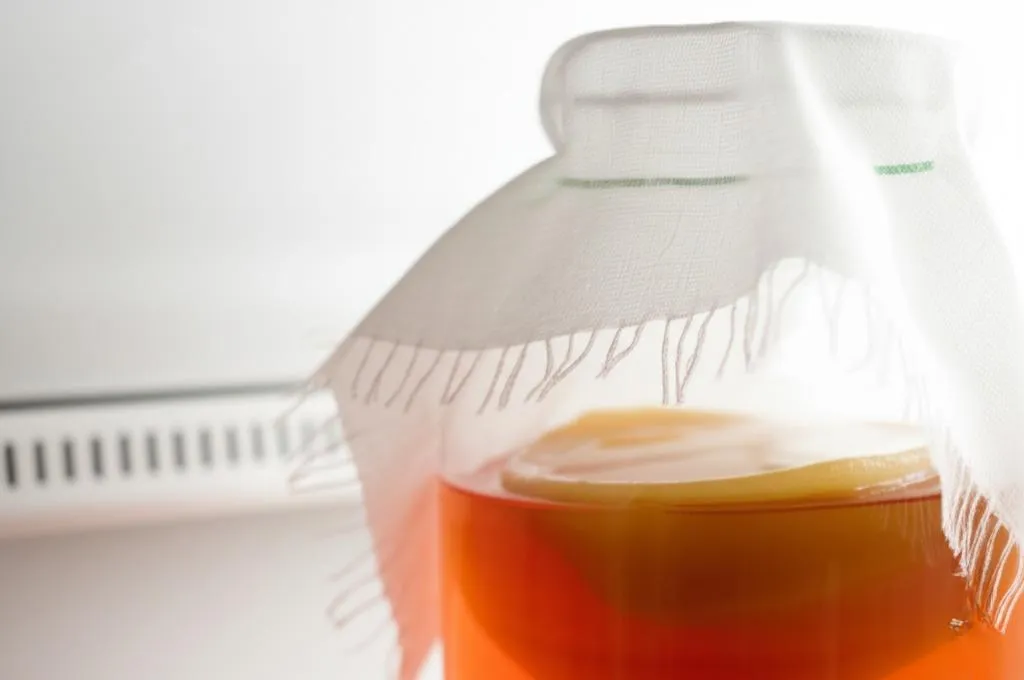 Kombucha Recipe