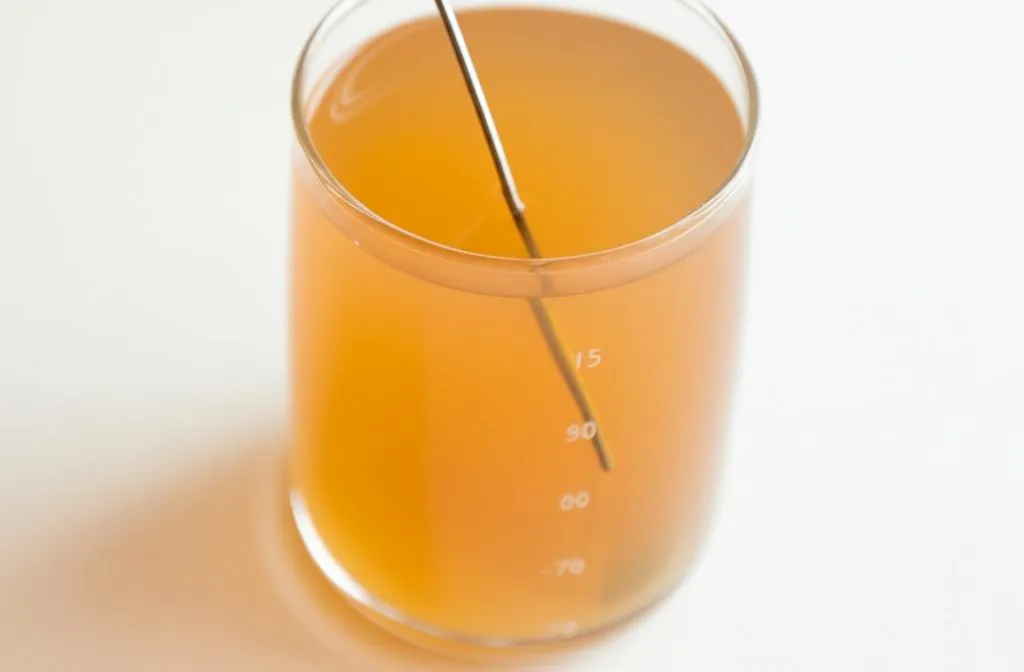 Kombucha Recipe
