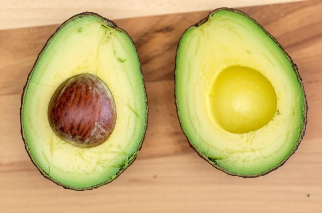 Avocado Chocolate Pudding Recipe