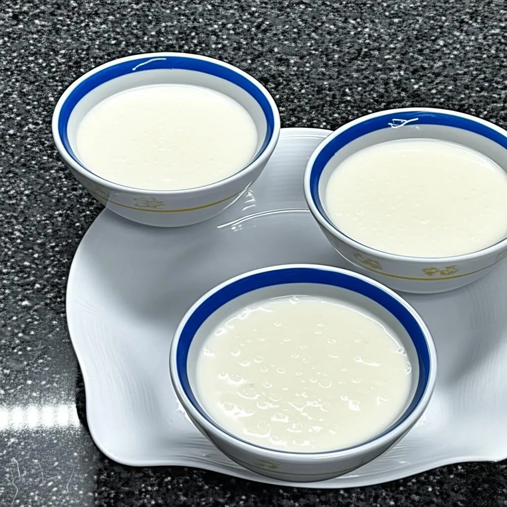 Sago Pudding Recipe 