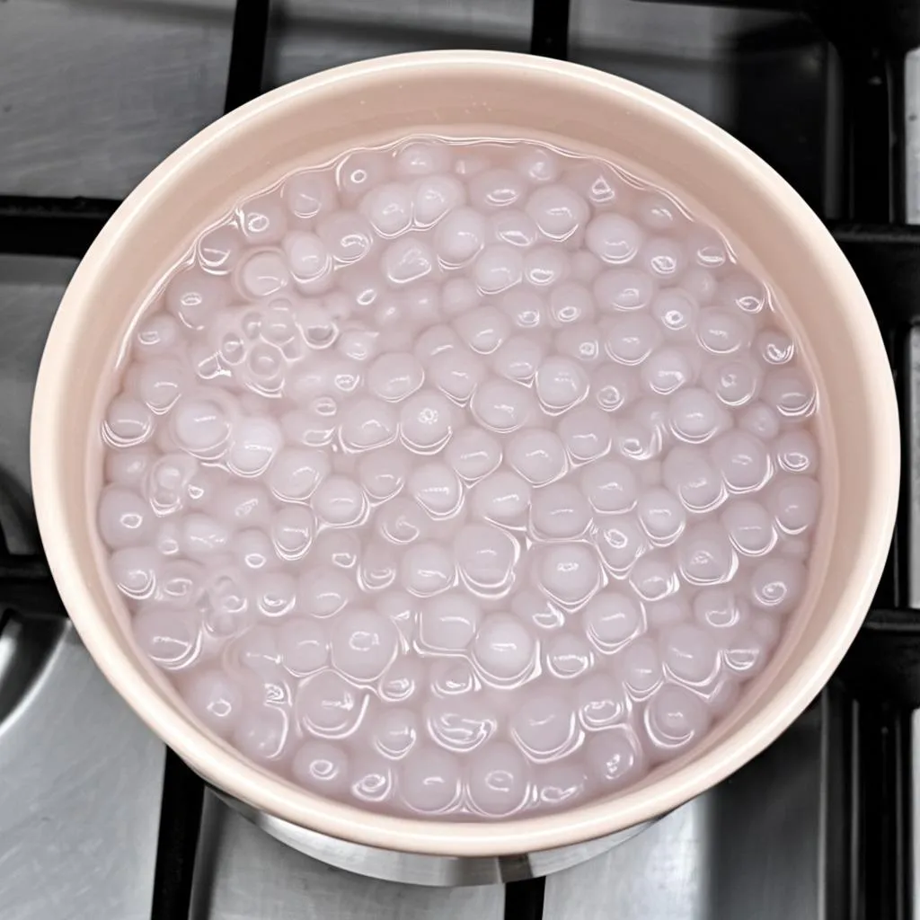 Sago Pudding Recipe 
